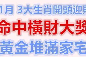 11月份三大生肖開頭迎財，最有希望命中橫財大獎，黃金堆滿家宅