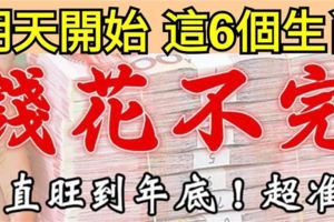 明天開始，這6個生肖意外之財進口袋，錢花不完。一直旺到年底！