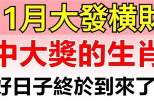 11月大發橫財，有機會中大獎的3大生肖！好日子終於到來了！