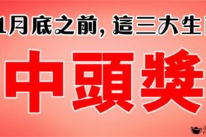 恭喜大發！11月底之前,這三大生肖有中頭獎運！(太準啦)