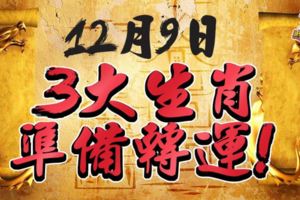 12月9日3大生肖準備轉運！窮過這3天享福30年！