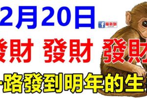 12月20日過後，發財！發財！發財！一路發到明年的生肖