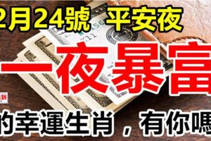 12月24號平安夜，發橫財中大獎，一夜暴富的生肖