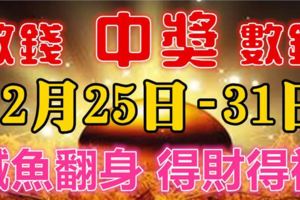 12月25-31日7天財神送錢，必鹹魚翻身財運亨通，得財得福的生肖