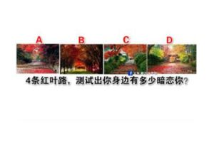 靈簽佔卜：4條紅葉路，測試出你身邊有多少暗戀你？超准測試！