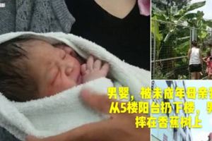 未成年母親產子後隨手從五樓扔下，孩子摔在香蕉樹上奇跡生還