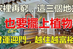 老師傅透漏：家裡再窮，[這三個地方]也要擺上植物，預示財運迎門，越住越富裕！