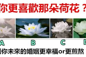 你更喜歡那朵荷花？測你未來的婚姻更幸福or更煎熬？