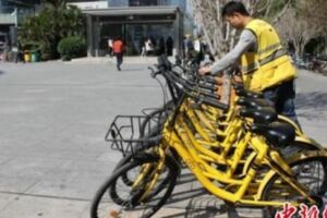 你的押金退了嗎？ofo「跪著活下去」，給出新選項了