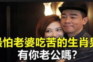 最怕老婆吃苦的生肖男，有你老公嗎？