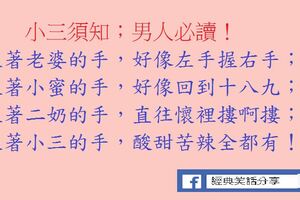 「小三」雖然是第三者，但我們會付出感情，跟只是為了錢的「二奶」不同，所以小三應界定為「新時代的職業情婦」。