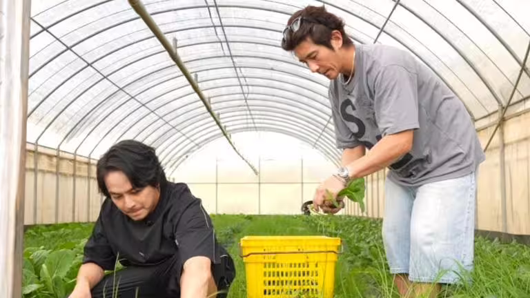 修杰楷（右）、楊銘威一起摘菜。（圖／《修TIME》提供）
