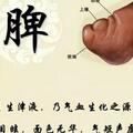 舌頭露出4個破綻，或是脾在「呼救」？堅持好習慣，脾虛不再擾