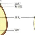 「養」出糖尿病6個習慣，很多人都愛做！逆轉糖尿病做好5點