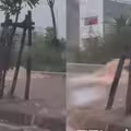 大雷雨炸台中！人行道「狂湧黃泥水」變小河 他嘆：該放假的