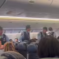 中國客飛機上大鬧　客機被迫降東京