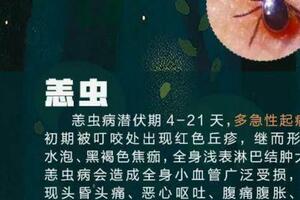 一地已近10人確診！早期像感冒，嚴重可致命！