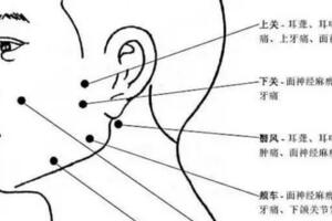 人體穴位圖及作用功效【完整版】