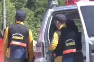 日本急發「特別警報」！熊襲頻傳　直升機空中驚見「熊啃人」
