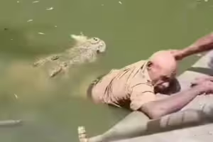 餵食一半遭鱷魚攻擊 員工傷重不治動物園慘了 餵食一半遭鱷魚攻擊 員工傷重不治動物園慘了