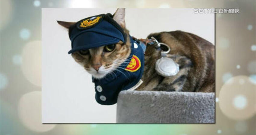 獲救浪貓警所long stay！一年後升格吉祥物 獲頒「專屬制服」萌樣曝