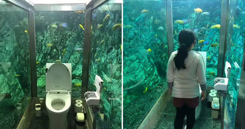 咖啡廳砸3000萬「讓顧客在海底上廁所」　海洋迷朝聖老闆卻超困擾