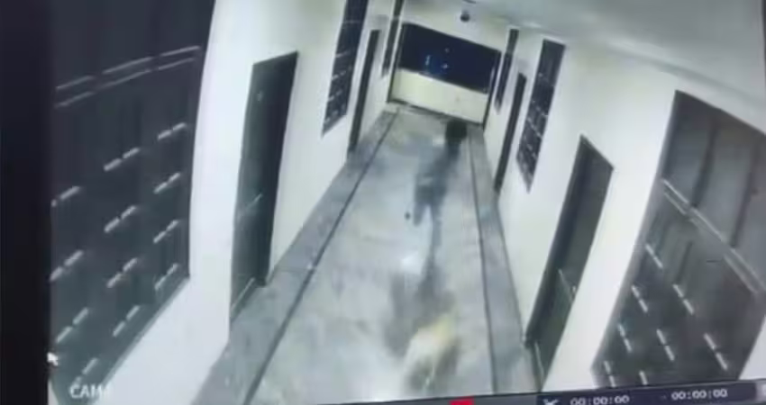 和狗玩你追我跑　少年直衝窗戶墜落