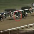 澳門騎師奧查魯墮馬後緊抱馬頸過終點?