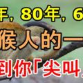 92年，80年，68年屬猴人的一生，嚇到你「尖叫」！