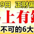 10月9日開始，正財偏財走高，馬上有錢的6大生肖