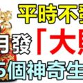 平時不發財，10月一發就是「大財」的5個神奇生肖！