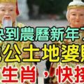 快到農曆新年了，土地公土地婆賜財【8大生肖，快接財】