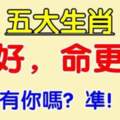 心好命更好！一生福氣不斷，長壽富貴的五大生肖