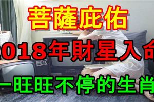 菩薩庇佑，2018年財星入命，一旺旺不停的生肖！