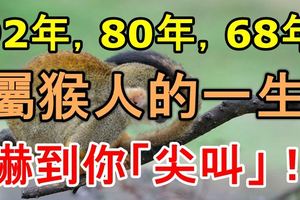 92年，80年，68年屬猴人的一生，嚇到你「尖叫」！