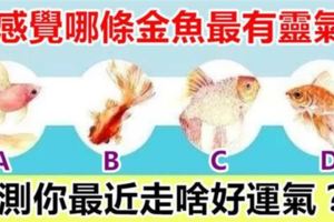 心理測試：憑感覺哪條金魚最有靈氣，測你最近走啥好運氣？