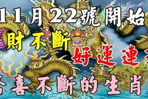 11月22號開始，橫財不斷，好運連連，驚喜不斷的生肖！