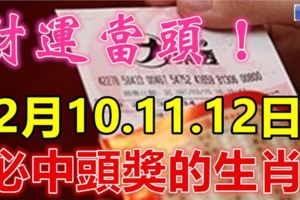 12月10.11.12日，『財運當頭』一定要去買彩票！必中頭獎的生肖！