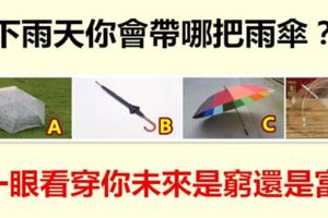 下雨天你會帶哪把雨傘？一眼看穿你未來是窮還是富