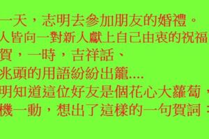 志明去參加朋友的婚禮。知道這位好友是個花心大蘿蔔，靈機一動，想出了這樣的一句賀詞：