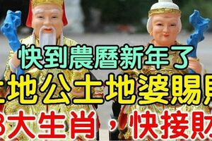 快到農曆新年了，土地公土地婆賜財【8大生肖，快接財】