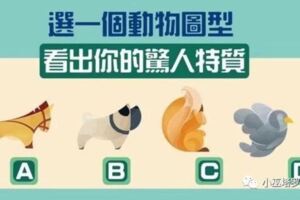 佔卜：選一個動物圖型！看出你的驚人特質！