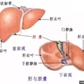 為何「肝癌」一發現就是晚期？你的肝若出現這三種症狀，就恐怖了...