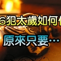 今年「犯太歲」的生肖，別以為去廟裡安了就沒事！！還要…「猴、虎、豬、蛇」一定要看！！