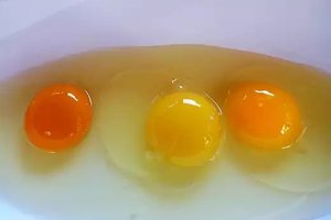 這三顆蛋中，哪一顆才是來自健康的雞？