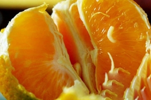 愛吃橘子的人要注意，現在知道還不晚！