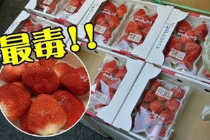 最毒12蔬果！草莓打敗蘋果列「毒王」
