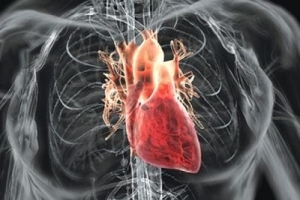 想知道你最近心臟最近到底好不好嗎？平時多摸摸身上這五個地方吧！