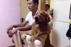 【趣味動物】男主人和狗狗一起受罰，岳父一看偷偷賊笑~