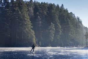 在結冰的湖面上溜冰覺得腳下怪怪的，一低頭看「千萬隻」比恐怖片還驚悚的畫面...